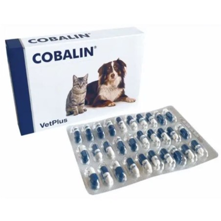 Vetplus Cobalin integratore per livelli di cobalamina e folati in cani e gatti 60 capsule Vetplus Cobalin integratore per livelli di cobalamina e folati in cani e gatti 60 capsule