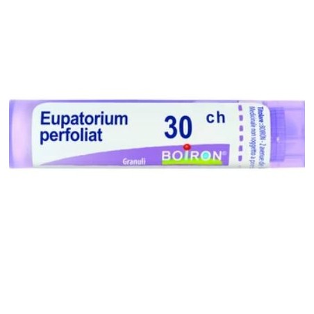 Boiron Eupatorium Perfoliatum 30CH 80 granuli contenitore multidose Boiron Eupatorium Perfoliatum 30CH 80 granuli contenitore multidose
