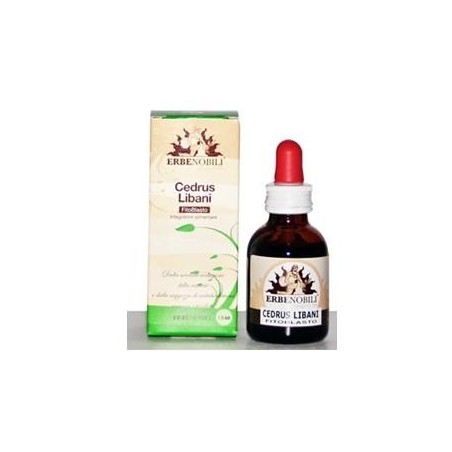 Fitoblasto Cedrus Libani 50 ml soluzione idroalcolica per dermatiti Fitoblasto Cedrus Libani 50 ml soluzione idroalcolica per dermatiti