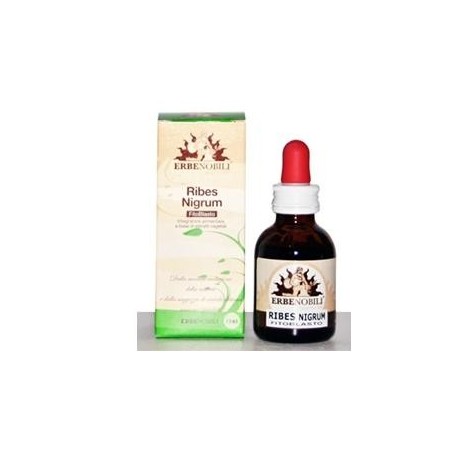 Fitoblasto Ribes Nigrum 50 ml Fitoblasto Ribes Nigrum 50 ml