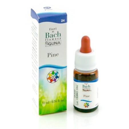 Guna Fiori di Bach Pine per responsabilità e perdono 10 ml Guna Fiori di Bach Pine per responsabilità e perdono 10 ml