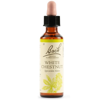 Bach White Chestnut essenza di ippocastano per tranquillità mentale 20 ml Bach White Chestnut essenza di ippocastano per tranquillità mentale 20 ml