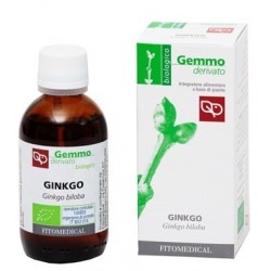 Ginkgo Macerato Glicerinato Bio 50 ml – Integratore per memoria e circolazione