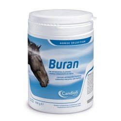 Candioli Buran Barattolo 700 G