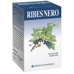 RIBES NE ERBE 75CPS
