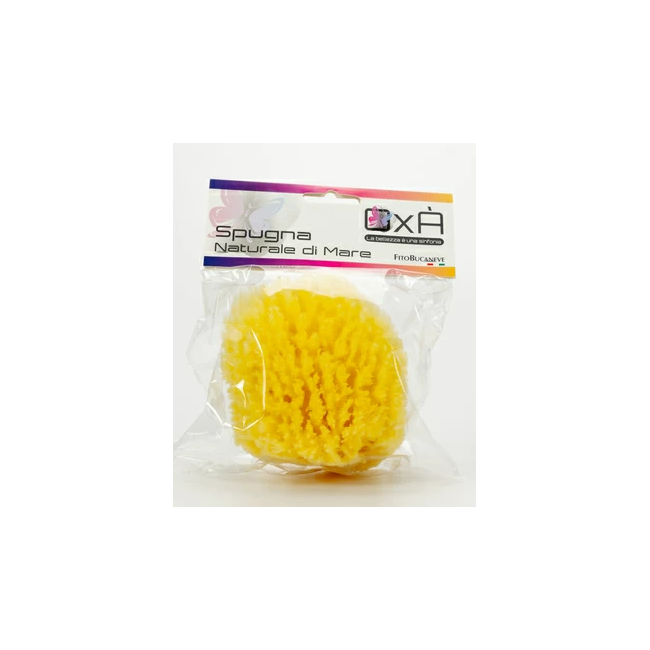 Oxa Spugna Naturale di Mare