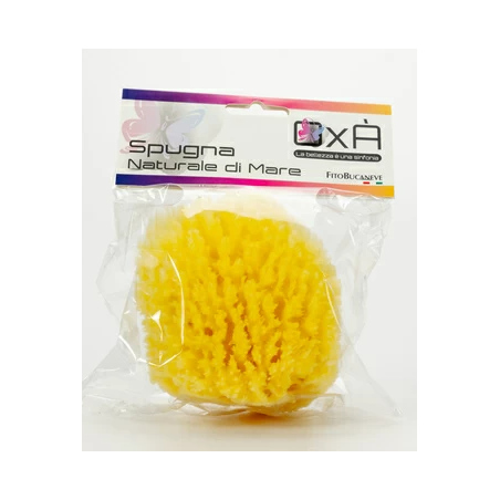 Oxa Spugna Naturale di Mare