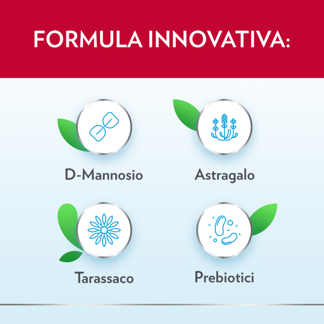Gyno CanesCystil Cistipro - Integratore per il benessere delle vie urinarie 14 bustine Gyno CanesCystil Cistipro - Integratore per il benessere delle vie urinarie 14 bustine