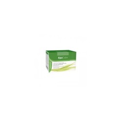 EpaColin Integratore con Mio-Inositolo Colina Vitamine B 20 stick