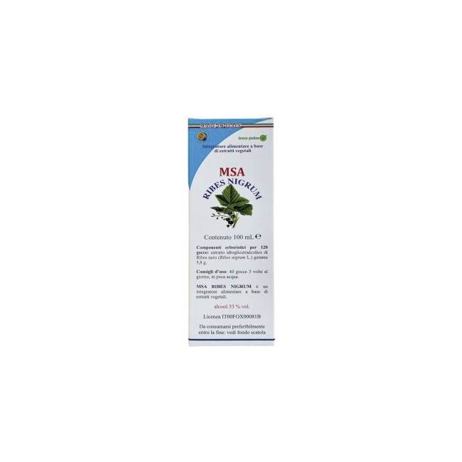 MSA Ribes Nigrum 100 ml