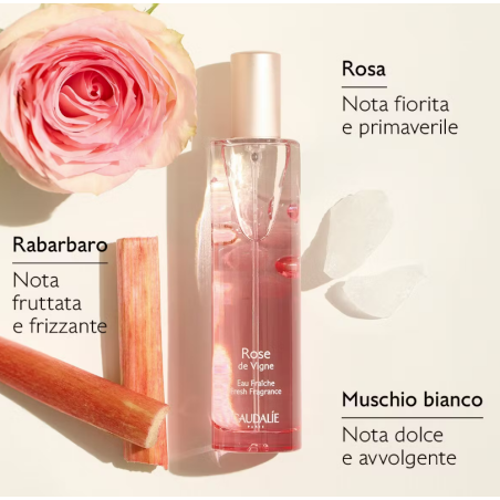 Caudalie Cofanetto Rose de Vigne acqua fresca profumata 50 ml + gel doccia OMAGGIO Caudalie Cofanetto Rose de Vigne acqua fresca profumata 50 ml + gel doccia OMAGGIO