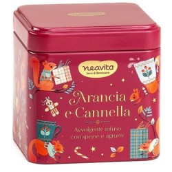 Neavita Infuso Arancia e Cannella in barattolino natalizio 5 filtroscrigno