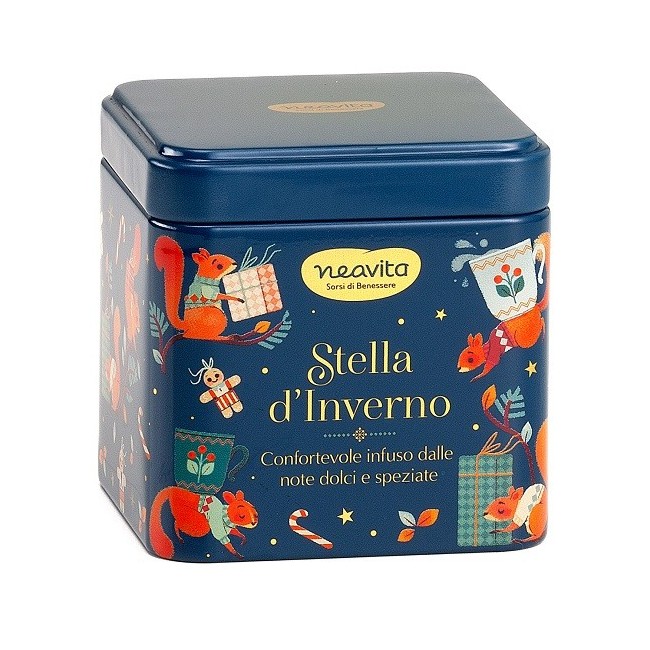 Neavita Infuso Stella di Inverno in barattolino di latta natalizio 5 filtroscrigno