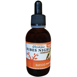 Sygnum Ribes Nigrum succo madre integratore antinfiammatorio e antiallergico 50 ml