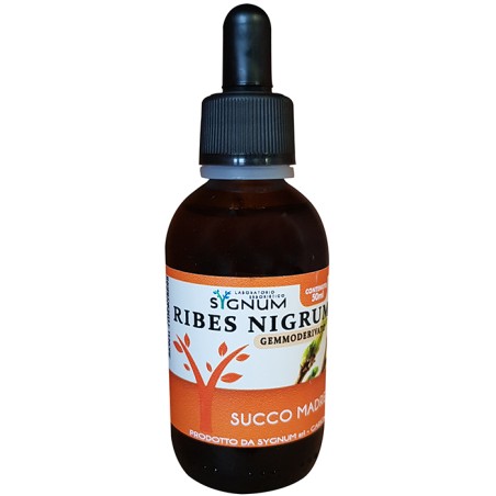 Sygnum Ribes Nigrum succo madre integratore antinfiammatorio e antiallergico 50 ml Sygnum Ribes Nigrum succo madre integratore antinfiammatorio e antiallergico 50 ml