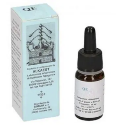 Alkaest Q52 Melissa compositum per umore e stress 10 ml