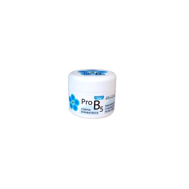 Sygnum Pro-B5 crema lenitiva per pelli infiammate danneggiate 100 g