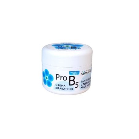 Sygnum Pro-B5 crema lenitiva per pelli infiammate danneggiate 100 g