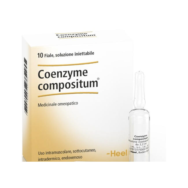 Coenzyme Compositum 10 Fiale