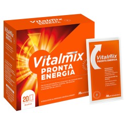 20 bustine Vitalmix Pronta Energia.