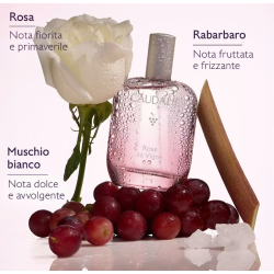 Caudalie Rose de Vigne Acqua Fresca Profumata 50 ml