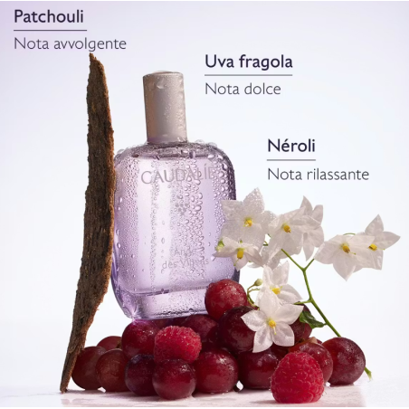 Caudalie Ange des Vigne Eau de Parfum - Profumo per il corpo 50 ml
