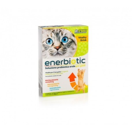 Petformance Enerbiotic Gatto