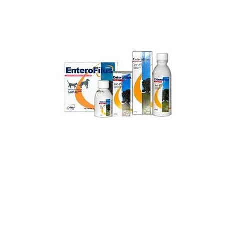 Enterofilus integratore di fermenti per l'intestino di cani e gatti 12 fiale da 10 ml Enterofilus integratore di fermenti per l'intestino di cani e gatti 12 fiale da 10 ml