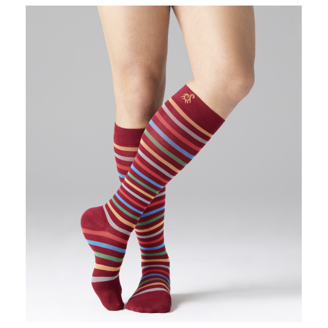 Solidea Stripe Game Idra Rubino Gambaletto Taglia M Solidea Stripe Game Idra Rubino Gambaletto Taglia M
