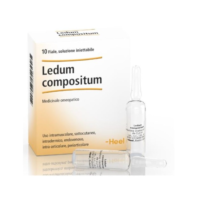 Heel Ledum compositum medicinale omeopatico 10 fiale soluzione iniettabile