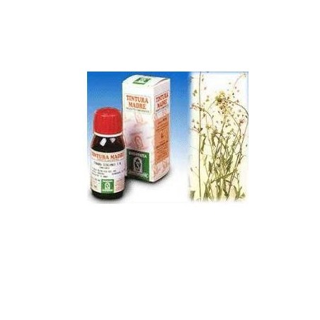 Specchiasol Tintura madre per Disturbi Mestruali 50 ml Specchiasol Tintura madre per Disturbi Mestruali 50 ml