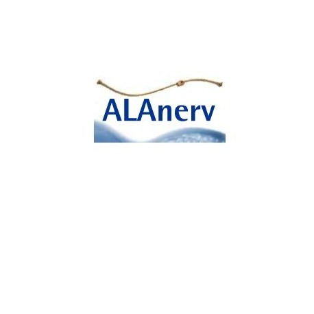 Alanerv 920 mg integratore antiossidante per il sistema nervoso 20 capsule