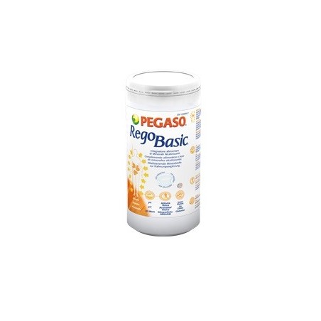 Pegaso Regobasic Polvere integratore di sali minerali basici 250 g Pegaso Regobasic Polvere integratore di sali minerali basici 250 g