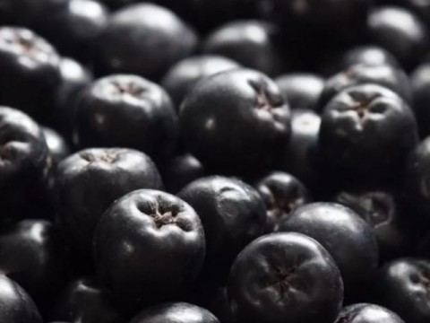 Rausch Linea Antigrigio all'Aronia per i Primi Capelli Grigi