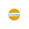 Gissoma