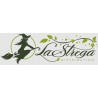 La Strega