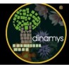 Dinamys