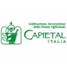Capietal