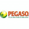 PEGASO SRL