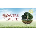 Atena Bio Flowers of Life