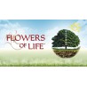 Atena Bio Flowers of Life