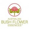 prodotti Bush Biotherapies