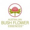 Bush Biotherapies