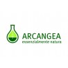 Arcangea