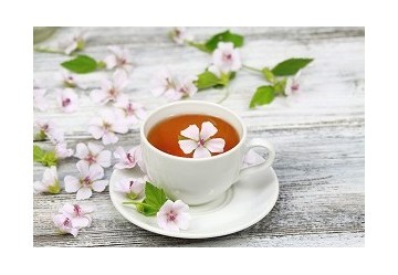 Affronta l'autunno con le tisane