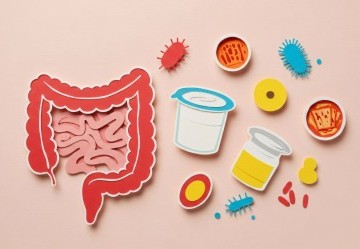 Come sistemare l'intestino dopo un antibiotico?