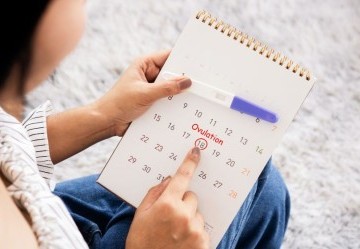 Come regolarizzare l'ovulazione? Come regolarizzare l'ovulazione?